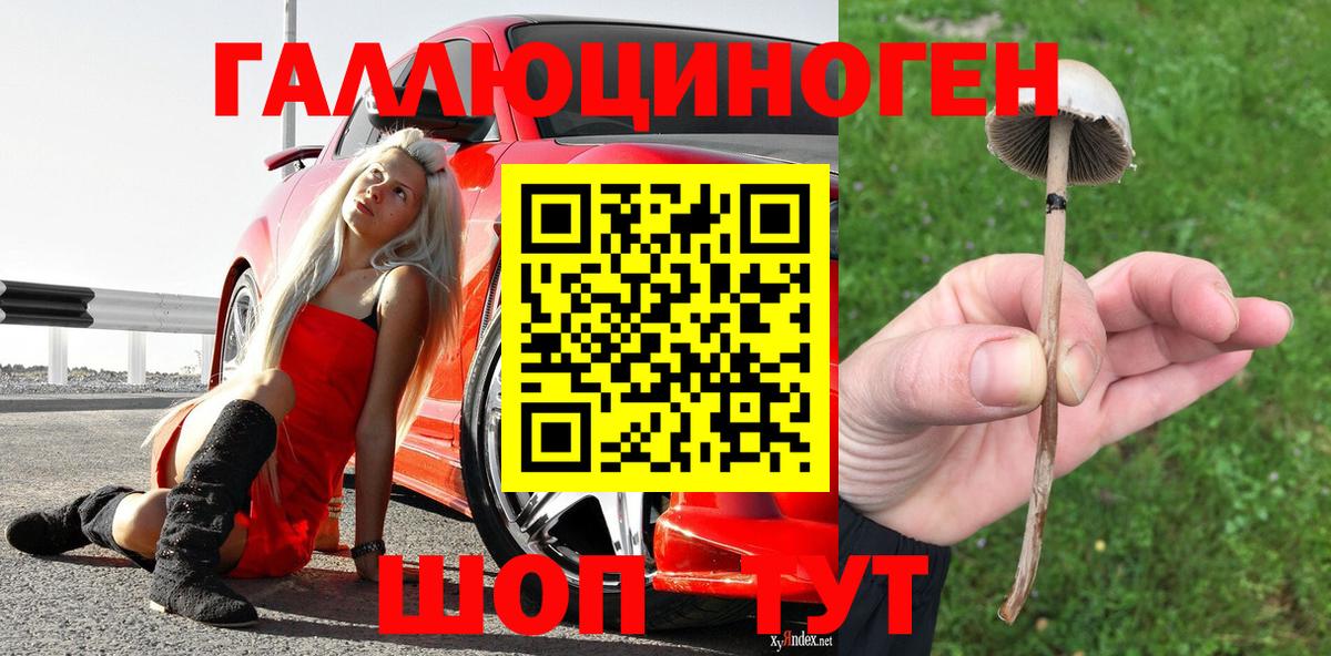 Псилоцибиновые грибы мицелий Щёлково