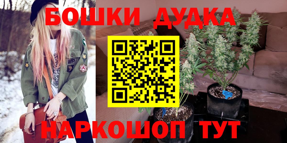 Бошки Шишки ГИДРОПОН Щёлково
